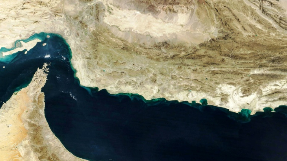 French, Japanese ships cross Strait of Hormuz in first since war