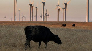 Preço da carne vermelha dispara nos EUA devido à escassez de gado