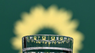 Grüne in Hamburg wählen Abgeordnete Storm und Alam zu neuen Parteichefs