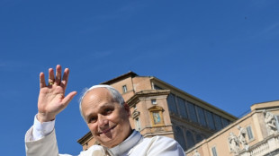 Papa Leão XIV une forças a Schwarzenegger para enfrentar a mudança climática