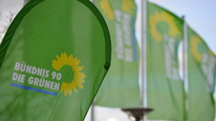 Gr&uuml;ne organisieren Verfassungsbeschwerden in Karlsruhe gegen Bundeshaushalt 2025