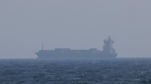 Teheran annuncia, creato organismo che gestir&agrave; lo Stretto di Hormuz