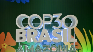 Anfitrión de la COP30, Brasil exhibe buenas notas en materia climática