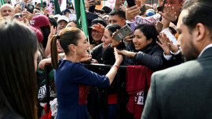 Dezenas de milhares se re&uacute;nem na Cidade do M&eacute;xico em apoio a Sheinbaum