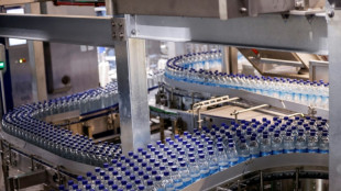 Expertengremium warnt vor "Sammelsurium von Subventionen" für deutsche Unternehmen