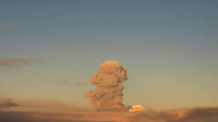 Russie: un volcan d'Extr&ecirc;me-Orient crache des cendres &agrave; plusieurs kilom&egrave;tres d'altitude
