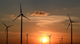 SPD-Fraktionschef betont Festhalten am Klimaschutz