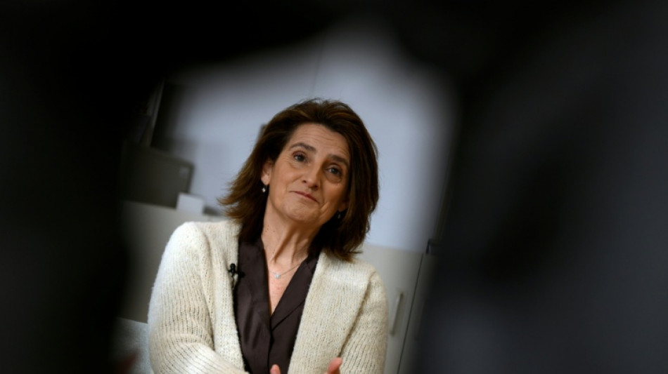 La espa&ntilde;ola Teresa Ribera, una voz propia en la Comisi&oacute;n Europea 