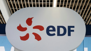 EDF envisage "d'&eacute;ventuelles cessions", &eacute;voque Edison et les renouvelables