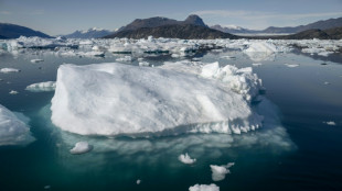 Los glaciares de Groenlandia generan cuatro veces m&aacute;s icebergs por el calentamiento global