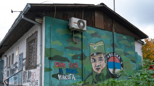 Mladic, punks et Kosovo : les murs de Belgrade, livre d'histoire à ciel ouvert