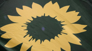 Gr&uuml;ne r&auml;umen Fehler im Fall Gelbhaar ein