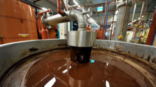 Barry Callebaut cuts outlook as chocolate sales volumes melt away