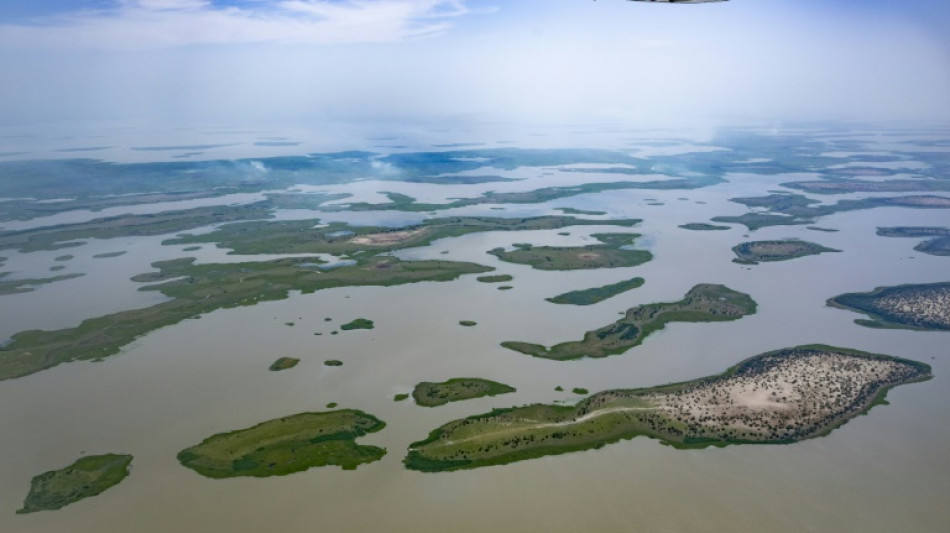 Doubts over Niger claim that a Boko Haram leader killed