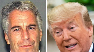 Media, 'Epstein si offrì ai russi come mediatore presso Trump'