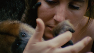 Museo del Cinema, omaggio alla regista argentino-britannica Jessica Sarah Rinland