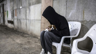 Israelis shelter with pets from threat of Iran missiles