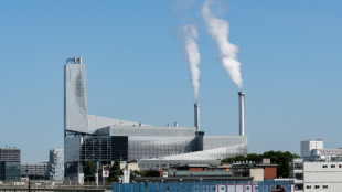 Francia prevé una desaceleración de su crecimiento económico al 0,6% en 2025