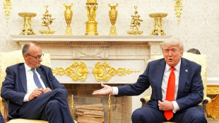 Merz lädt vor Putin-Trump-Gipfel zu virtuellem Ukraine-Treffen