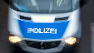 Berlin: 17-j&auml;hriger Autofahrer liefert sich Verfolgungsjagd mit Polizei