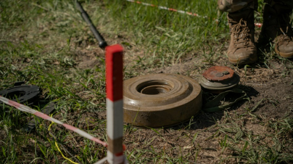 Demining Ukraine: from drones to risking it with a rake