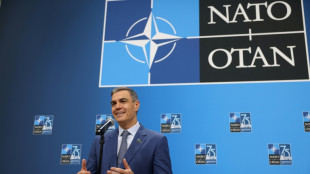 NATO strikes spending deal, but Spain exemption claim risks Trump ire