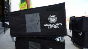 US-Bürgerin droht wegen Registrierung ihrer Hündin als Wählerin mehrjährige Haft