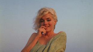 Sarà dedicato a Marilyn Monroe il Torino Film Festival 2026