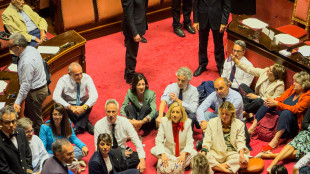 In Senato protesta opposizioni sul dl sicurezza, Aula sospesa