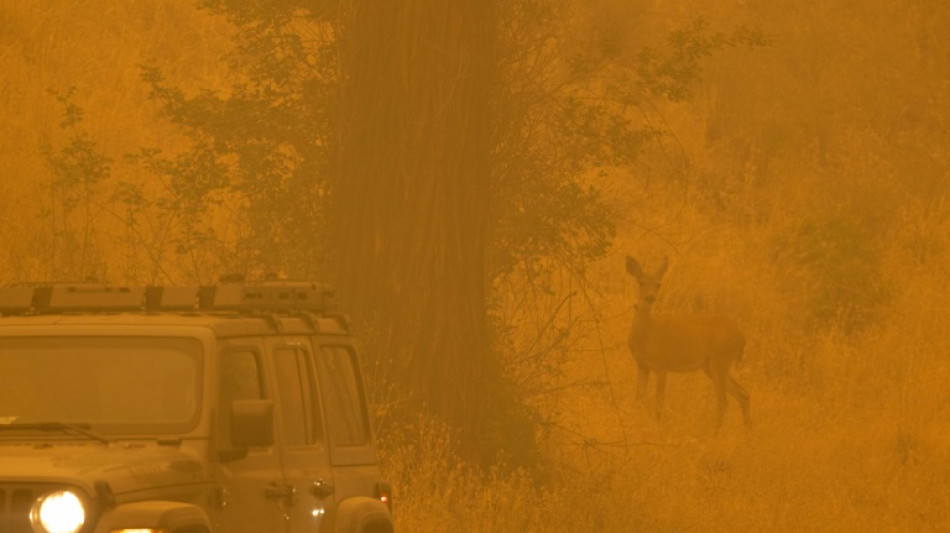 Mayor incendio forestal en California deja al menos cuatro muertos