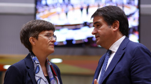 Fitto, intesa su dazi al 15% dà stabilità e prevedibilità