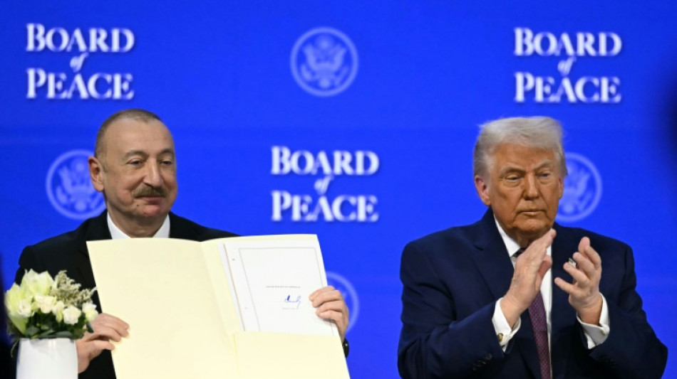 Trumps "Friedensrat": Ministerin Alabali Radovan fordert konkrete Gaza-Hilfen