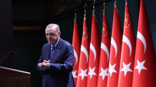 Erdogan, 'stop ai raid di Israele cruciale per la pace a Gaza'
