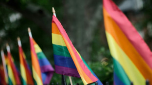 Desfile do Orgulho de Nova York recorre a financiamento coletivo após desistência de empresas