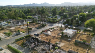 Los Angeles infestée de maisons toxiques, des mois après les incendies