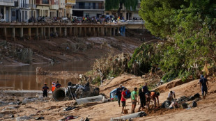 Un an après, l'Espagne se souvient et rend hommage aux victimes des inondations de Valence