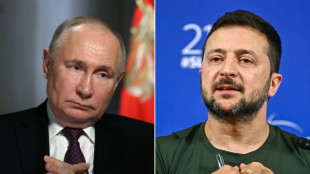 Ukraine peace talks: What are Kyiv and Moscow's positions?