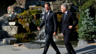 Rutte: Nato-Länder erreichen 2025 Zwei-Prozent-Ziel bei Verteidigungsausgaben