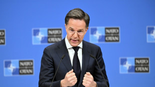 Nato-Partner der USA steigern Verteidigungsausgaben um knapp 20 Prozent