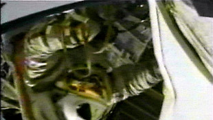 Molecole naturali per frenare l'invecchiamento degli astronauti