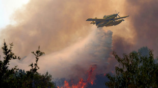 France, Spain battle 'unpredictable' wildfires as 325,000 evacuated