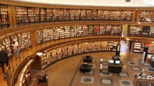 Karbon-X Corp. meldet Umsatzwachstum und gestärkte Finanzlage für das erste Quartal 2026